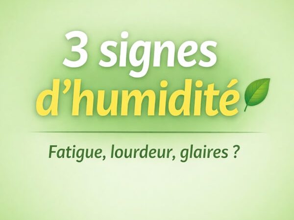 Sensations de lourdeur et brouillard mental : comprendre l’excès d’humidité selon la Médecine&nbsp;Chinoise